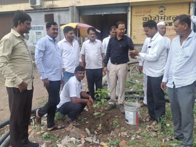 रुक्षा रोपण